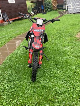 Pitbike Hecht 125 ccm - 3