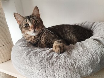 💔 Luky – kluk, který přežil všechno 💔 - 3