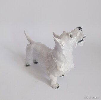 Porcelánová figura teriéra - Rosenthal - 3