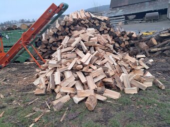 Palivové dřevo suché - 3