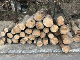 Palivové Dřevo - 3