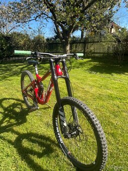 Downhill ctm mons pro - 3