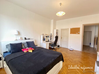 Pronájem bytu 1+1, V Horkách, Nusle, 20.000 Kč/měs, 52 m2 - 3
