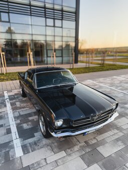 Ford Mustang 289 V8 FASTBACK - 3