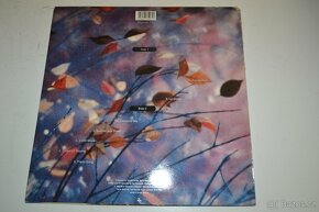 Erasure - Wild lp - 3