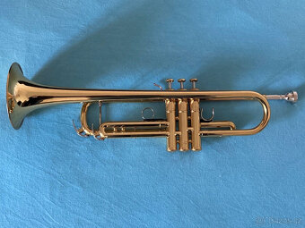 Bb Trumpet Yamaha YTR-8335 LA Wayne Bergeron (1. gen) - 3