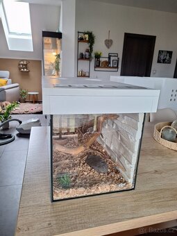 Terarium - 3