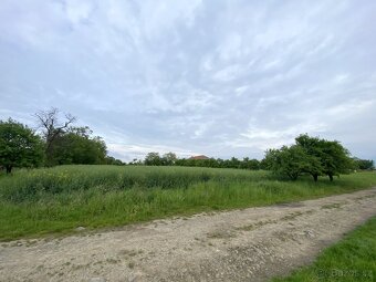 Bezuchov, stavební pozemek 3440m2 - 3