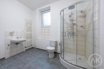 Pronájem příjemného bytu 1+KK, ul. Jílová - 3