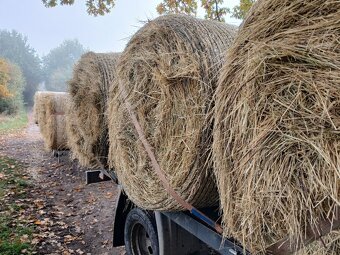 Letošní seno z haly z Vysočiny - 3