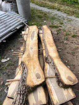 Ořechové fošny mix - 3