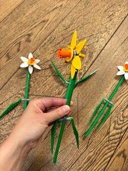 LEGO® Botanicals 40747 Narcisy - 3