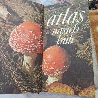 Atlas nasich hub rok 1977 - 3
