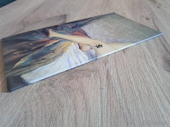 Malířská rodina Mánesů - 3