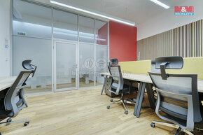 Pronájem kancelářského prostoru, 21 m², Plzeň, ul. Riegrova - 3
