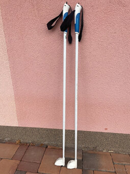 dětské hůlky na běžky, délka 100 cm - 3