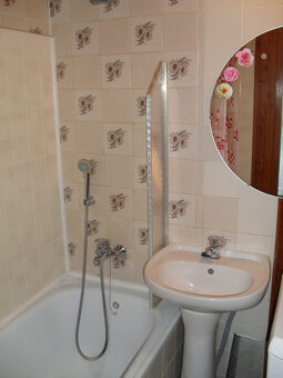 Pronájem plně vybaveného bytu 2+1, Galandauerova, Královo Po - 3