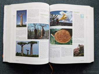 Encyklopedie kaktusů a jiných sukulentů - 3