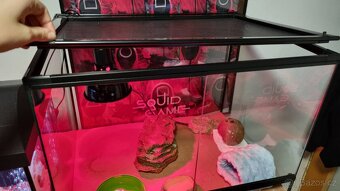 Terárium 60x45x45 bez vady - 3