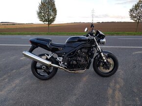 Triumph Speed Triple 955i 2004 - 3