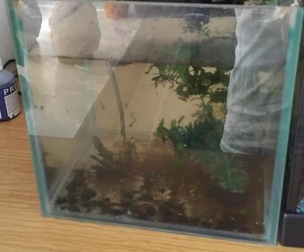 Akvárium s rybičkami a vybavením - 3