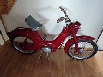 Jawetta 551 - 3