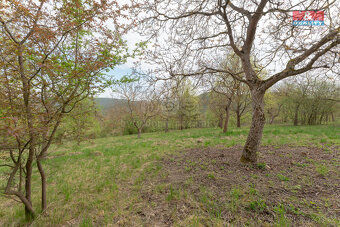 Prodej ovocného sadu, 3977 m², Předklášteří - 3