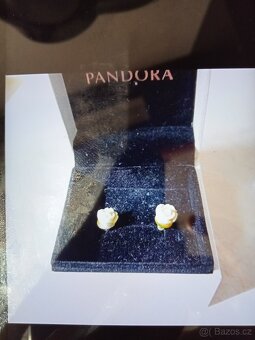 Pandora - 3