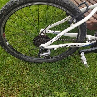 Lapiere 24" - 3