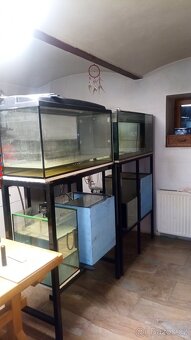 Akvária - 3