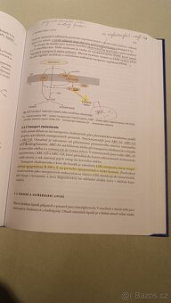 Regulace metabolismu zakladnich zivin u člověka - Holeček - 3