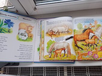 Různé knihy velké - 3