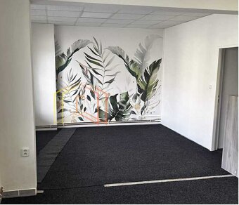 Pronájem komerčních prostor v centru Slavičína - 3