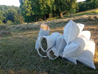 Seno luční 2025 ručně sušené - 3