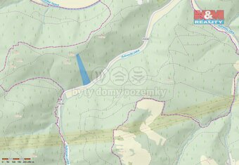 Prodej lesa, 12967 m², Nemile - Lupěné - 3