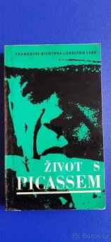 Mé strašné radosti, Život s Picassem, Kamarád ze skal - 3