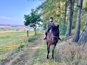 Prodám klisnu pony 142cm - 3