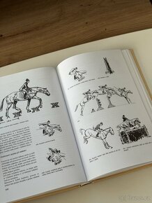 Anthony Paalman – Skokové ježdění - 3