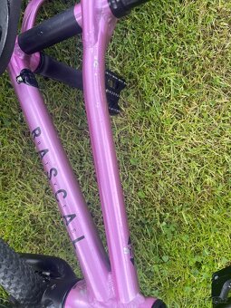 Rascal 14” rapsberry - ruzova - 3