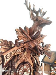 Velke Kukacky, 8 denni ,nove, Nemecko - 3