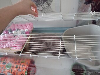 Box na mensi zvířátko - 3