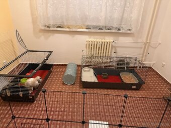 Ohrádka pro králíky - 3