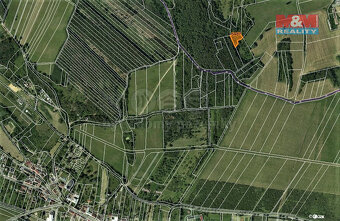 Prodej lesa, 1374 m², Borotín u Boskovic - 3