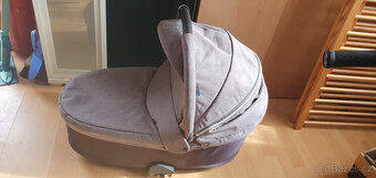 Husky Baby Design - 3
