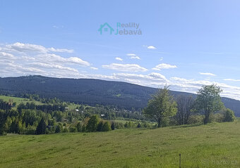 Prodej, pozemek 21 860 m², Křižánky - České Křižánky - 3