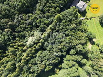 Prodej zahrady a louky 4381 m2 v Horní Datyni , 133068 - 3