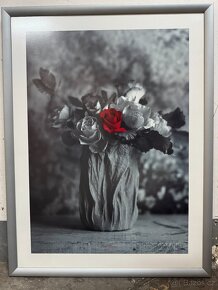 Prodám 3 ks různých obrazů - nové, nevyužité - 3