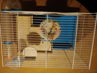 Klec pro křečka s příslušenstvím - 3