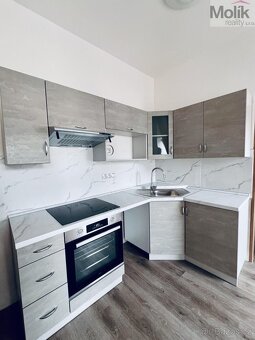 Pronájem bytu 2+1 59 m2 - 3