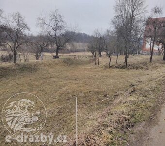 Dražba rybníku 7,7 ha a pozemky v obci Všepadly, okres Domaž - 3